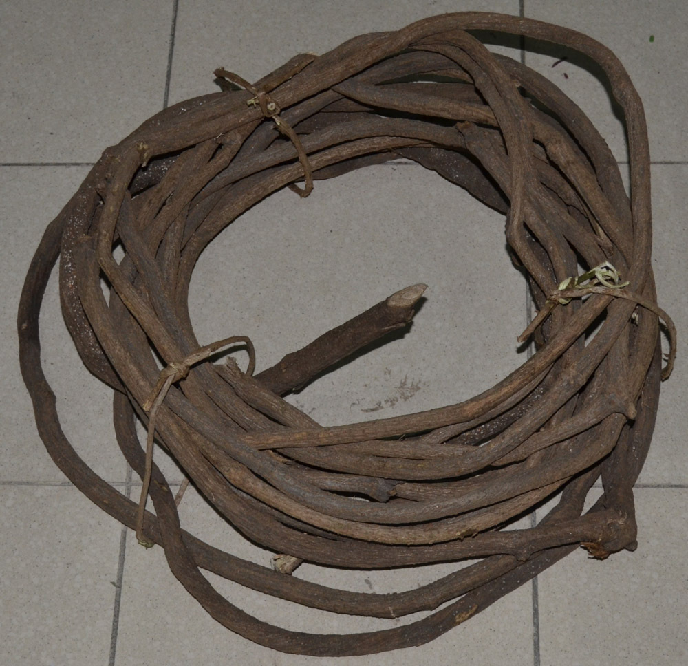 树藤黑枯藤老藤红藤山藤条葡萄藤批发装饰树枝材料万圣节道具