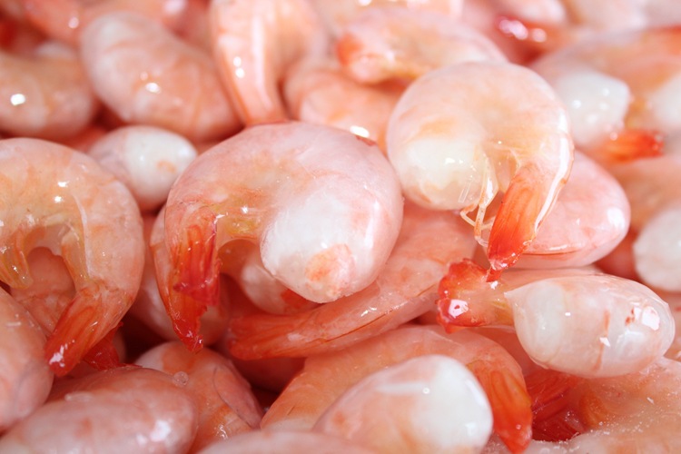 特价供应 美味冰冻 颗粒去头熟虾特大 批量更优惠