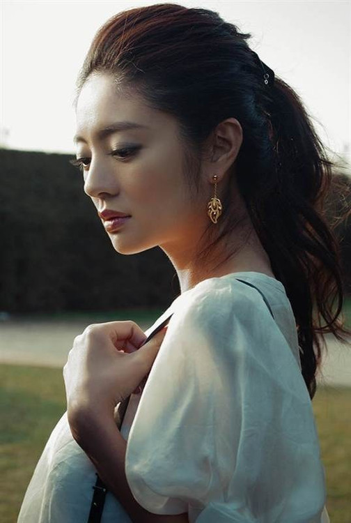 2013韩版夏装新款女装明星安以轩同款欧根纱绣花上衣/蕾丝衫 批发