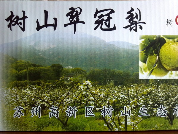 树山行~翠冠梨和葡萄正是时候