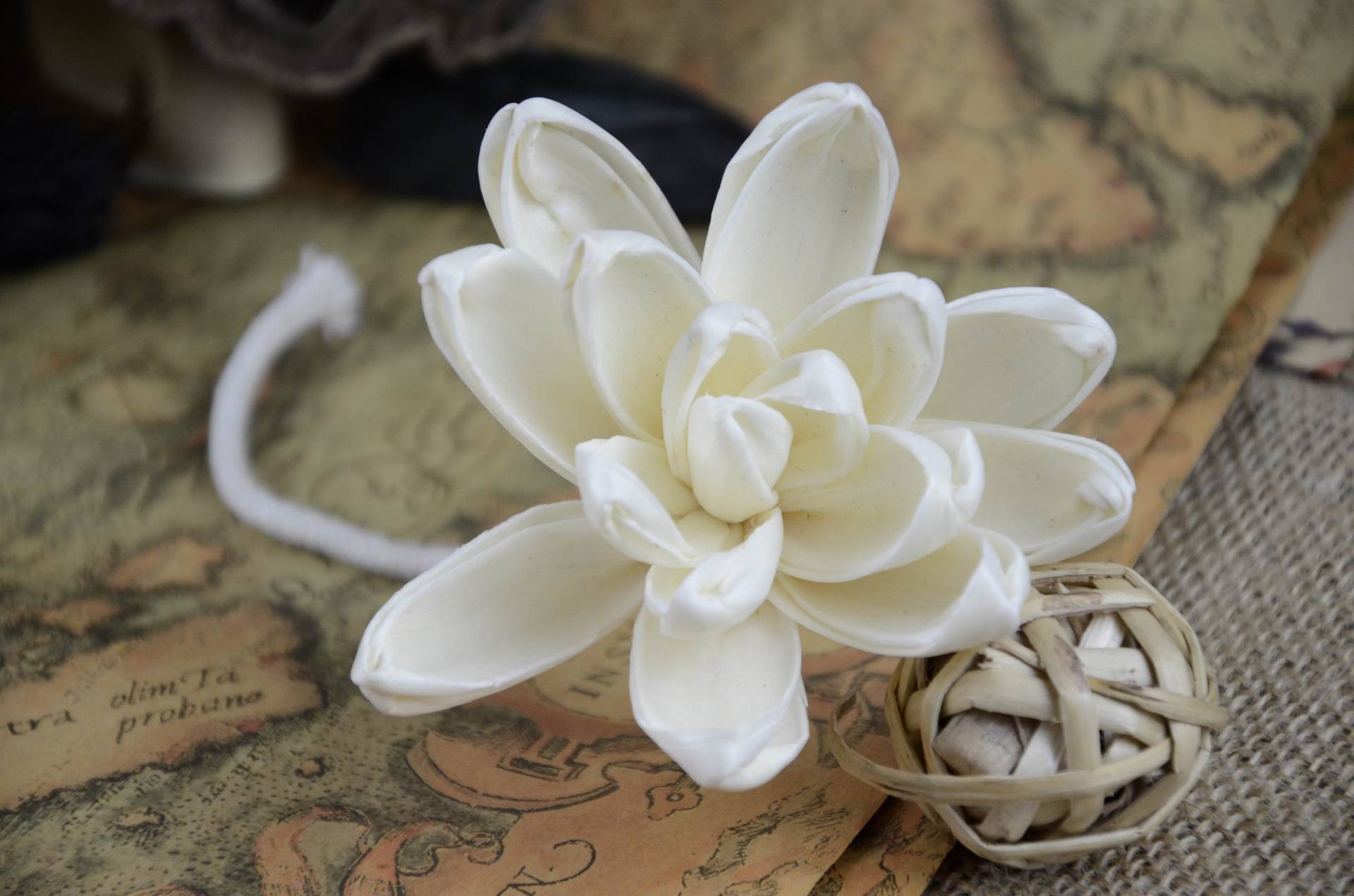 sola进口环保植物原材料 香薰花头 无心莲花 直径8cm 厂家直销