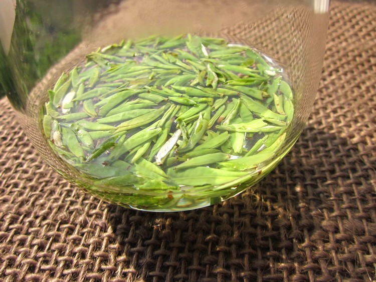 茶葉批發 四川綠茶 竹葉青 蒙頂茶 高山 明前茶 論道 散裝 500g