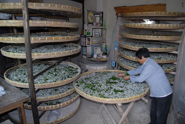 蚕丝原产地桐乡 丝绵光胎 工厂直销裸丝 短丝现货批发 春茧柞蚕丝