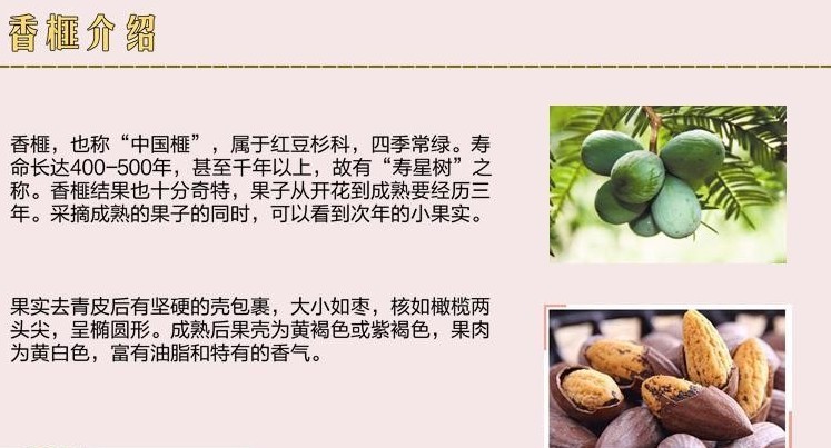 【供应批发】香榧新货2013正宗枫桥香榧100克特级诸暨特产