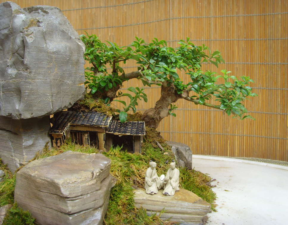 制作销售各类山石山水盆景树石及微型盆景