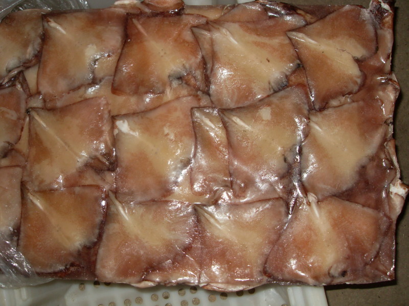 板冻鱿鱼耳 北朝鱿鱼耳