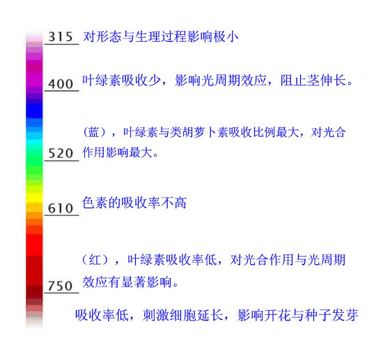 批发全光谱红蓝光90w大功率圆形植物生长灯90w ufo grow light