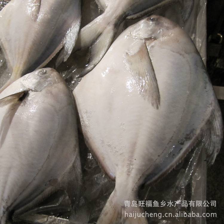 探寻生鲜行业的变化与机遇