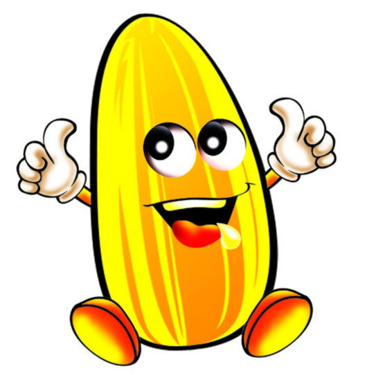 大量供应内蒙生葵瓜子精选新货3146大颗饱满25kg瓜子厂家批发