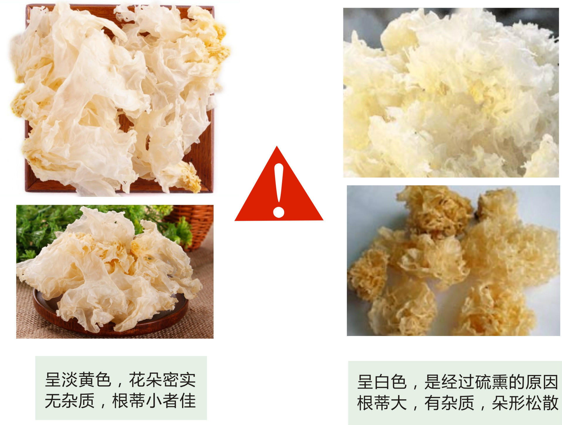 福建古田特級白木耳雪耳銀耳天然無燻硫銀耳花