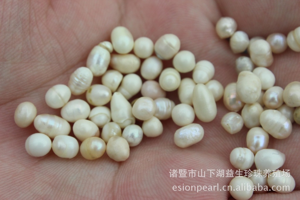 【益生】批发 白珠 药用珠 磨粉 白玉珠子 可供佛 垫鱼缸 散珠