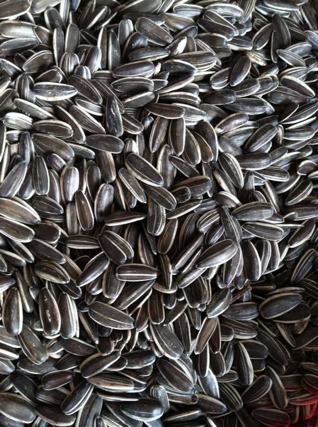 瓜子儿可能是最传统的一种休闲食品了,种类五花八门,可是就拿我们最