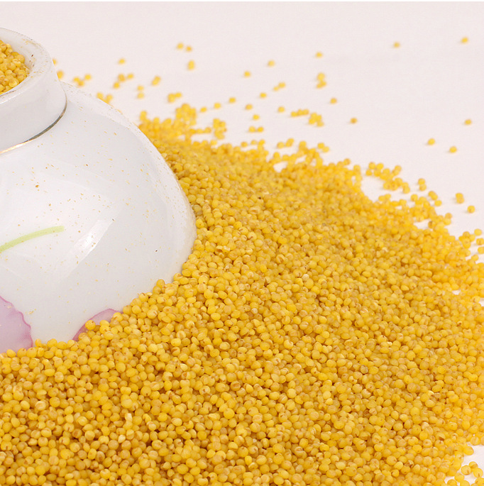 山西特产熬粥沁州黄2kg真空装免淘洗 批发糙米营养粥用米