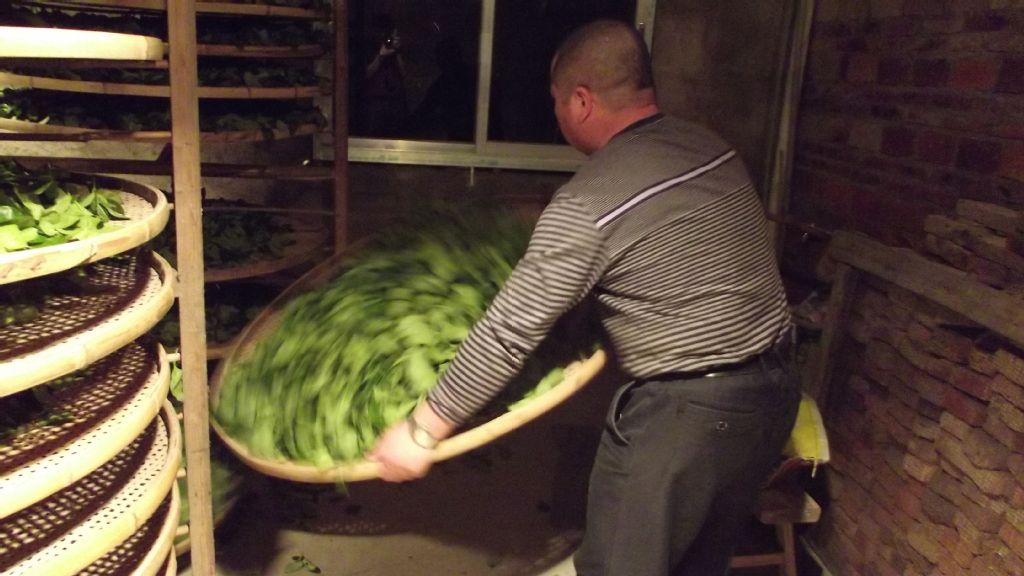 【将军令】碳焙兰花香 武夷岩茶 大红袍 高山生态有机茶批发 特色