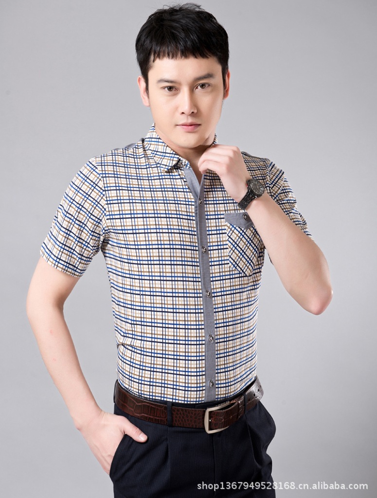 九鹿王正品 丝光棉商务休闲衬衫 格子衬衣