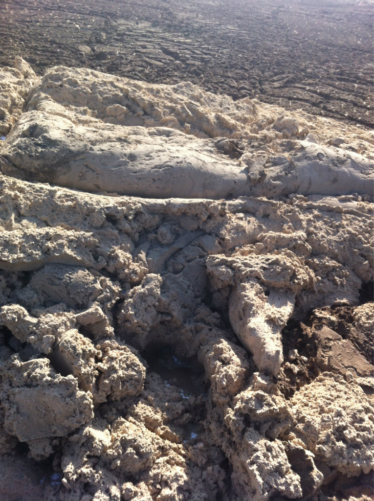 土豆淀粉渣 马铃薯渣饲料原材料