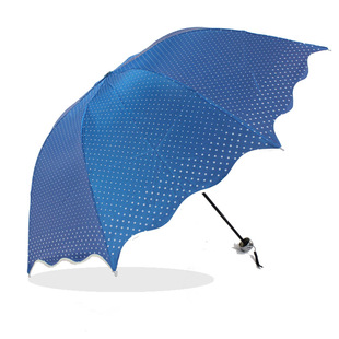 艾瑞丝变色龙伞