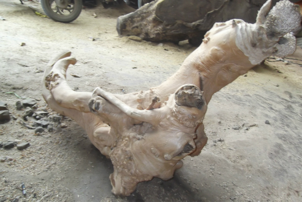 根雕摆件天然实木根雕人参