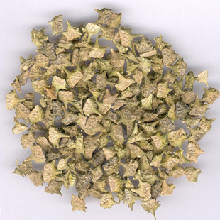 厂价现货供应刺蒺藜提取物