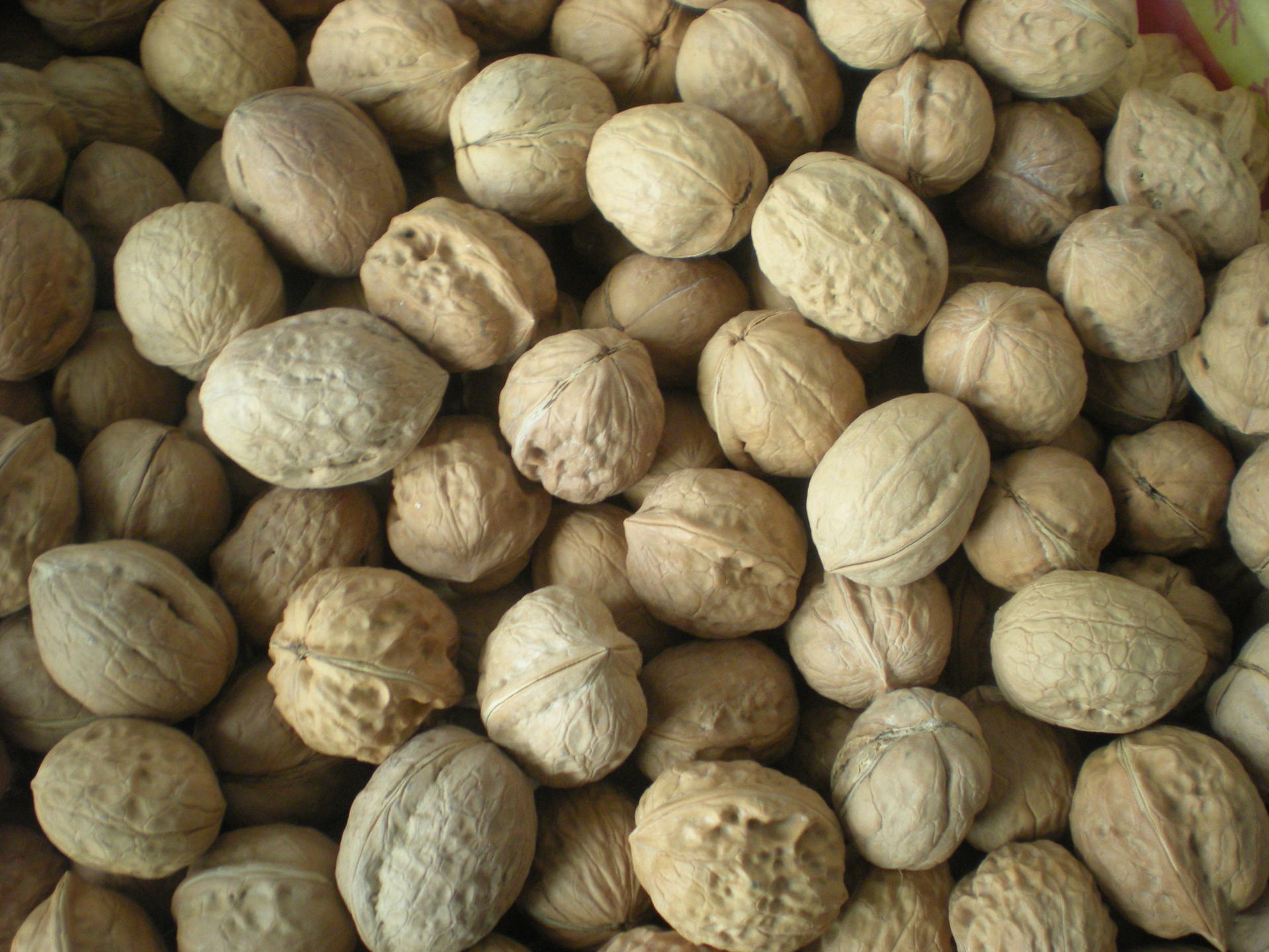 补脑健脑天然保健产品太行山纸皮核桃