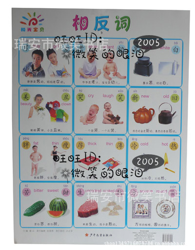 正版陽光寶貝大掛圖 精品幼兒早教看圖識字 雙面平面掛圖批發