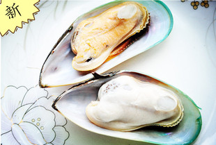 明大食品 长期供应 进口新西兰青口贝1kg