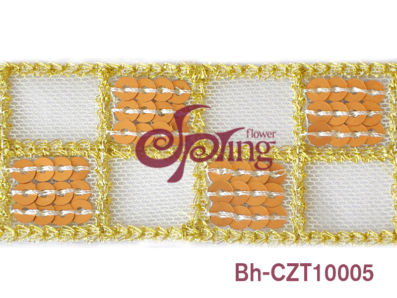 BhCZT10006