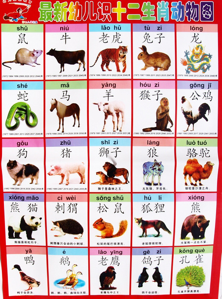 宝宝早教挂图/幼儿童认知/幼儿学习挂图启蒙0-6岁