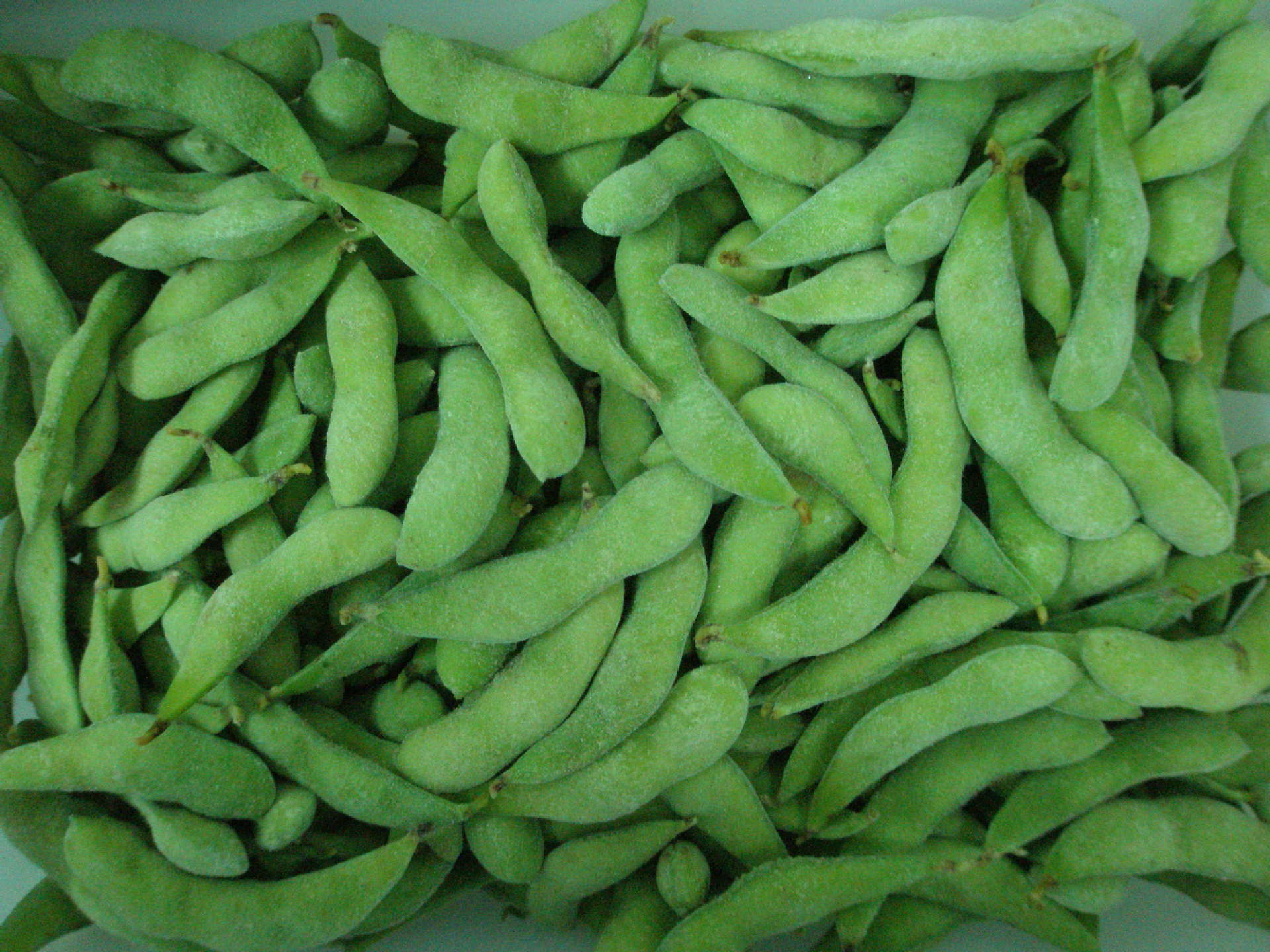 厂家批发 冷冻蔬菜出口 速冻甜豆长4-9,厚13mm 内销一吨起批