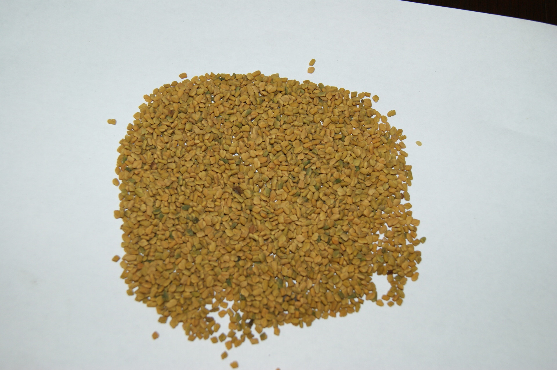 整车 芦巴子 葫芦巴 量大从优