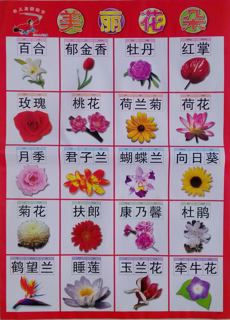 宝宝启蒙挂图 幼儿早教挂图 识蔬菜水果挂图