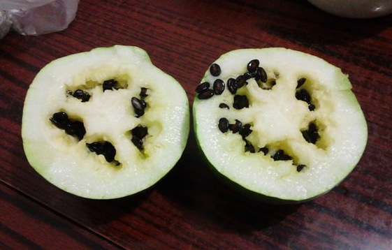 新疆2013 打瓜仔 原产地 批发 农户 自产