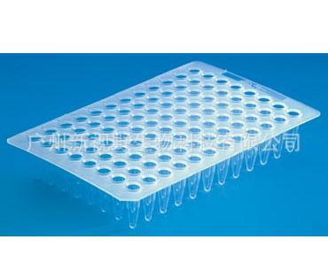axygen 96孔无裙边pcr板