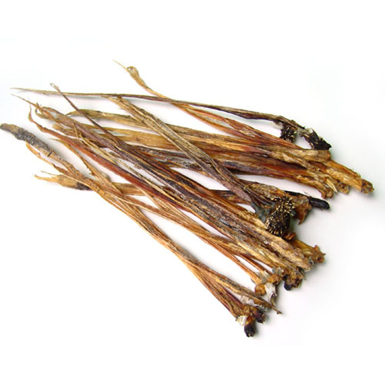 批发供应鳄鱼 产地直销 特种养殖 优优精选鳄鱼鞭 厂家批发