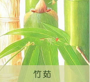 植物提取物-竹茹提取物-植物提取物尽在阿里巴巴-西安嘉天生物科技