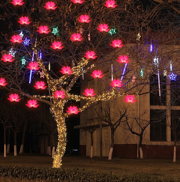 节日装饰品pvc中秋花灯led火凤凰 厂家批发-「灯笼」-马可波罗网