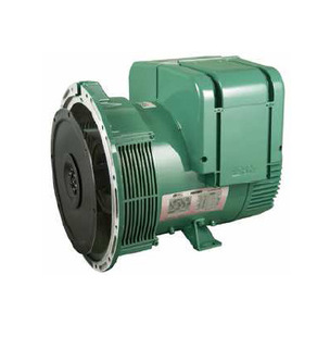 3 法国leroy somer代理