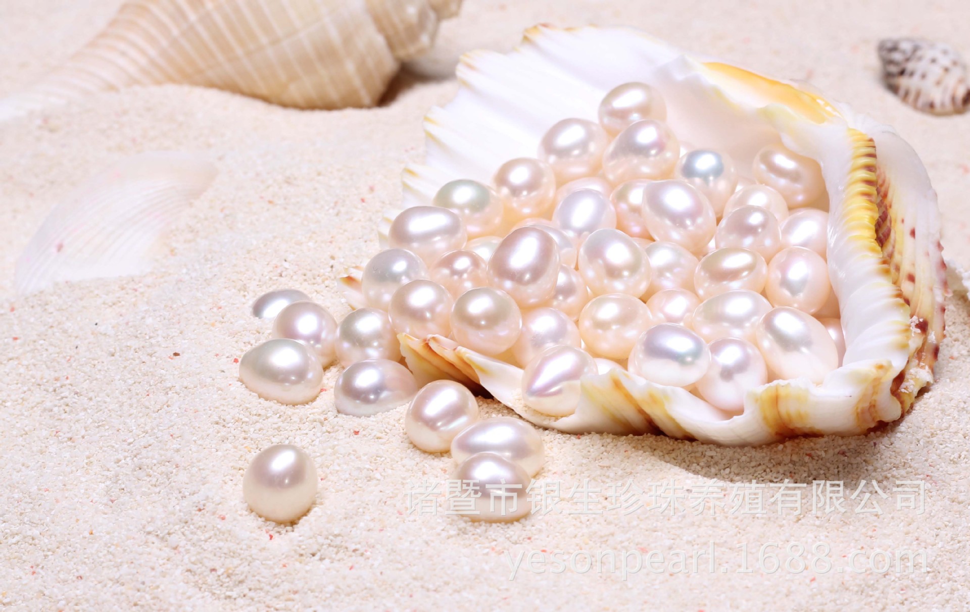 银生珍珠项链厂家直销天然淡水珍珠10-11mm米形aaa颗粒珠滴水珠