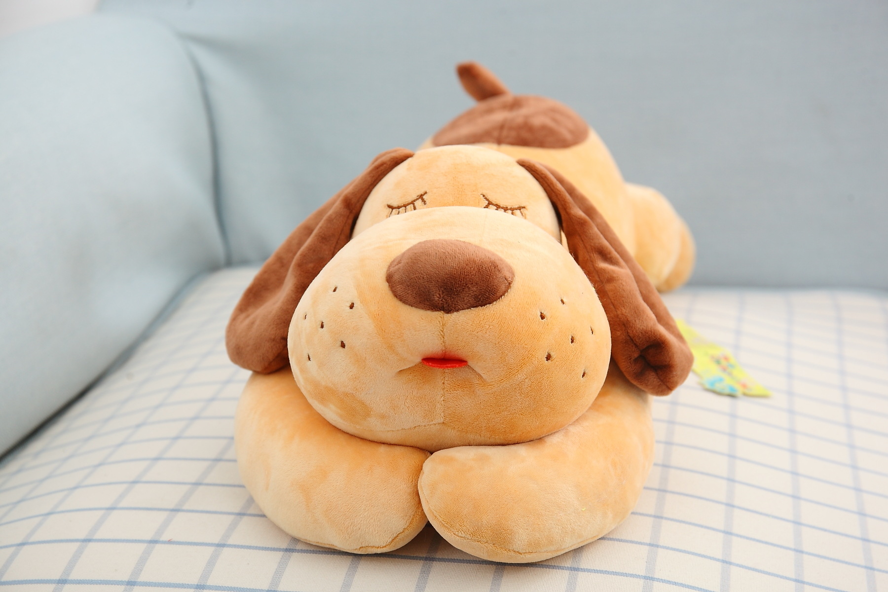 年终备货毛绒玩具布艺泡沫粒子填充娃娃趴趴狗大头狗公仔诚招代理