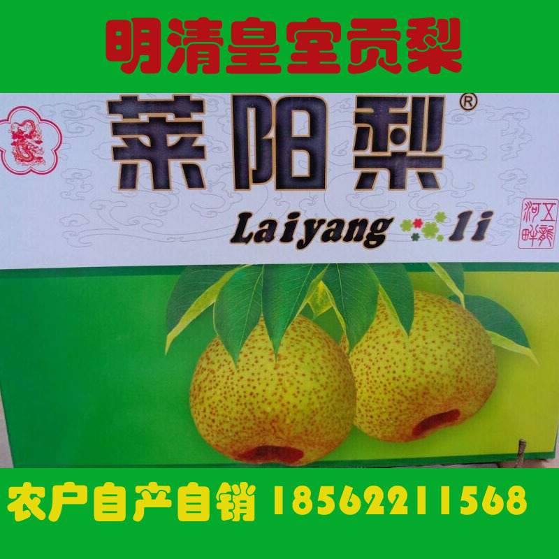 水果 莱阳梨 明清皇室贡品 产地农户自产自销 新鲜现货 图片_高清大图 - 阿里巴巴