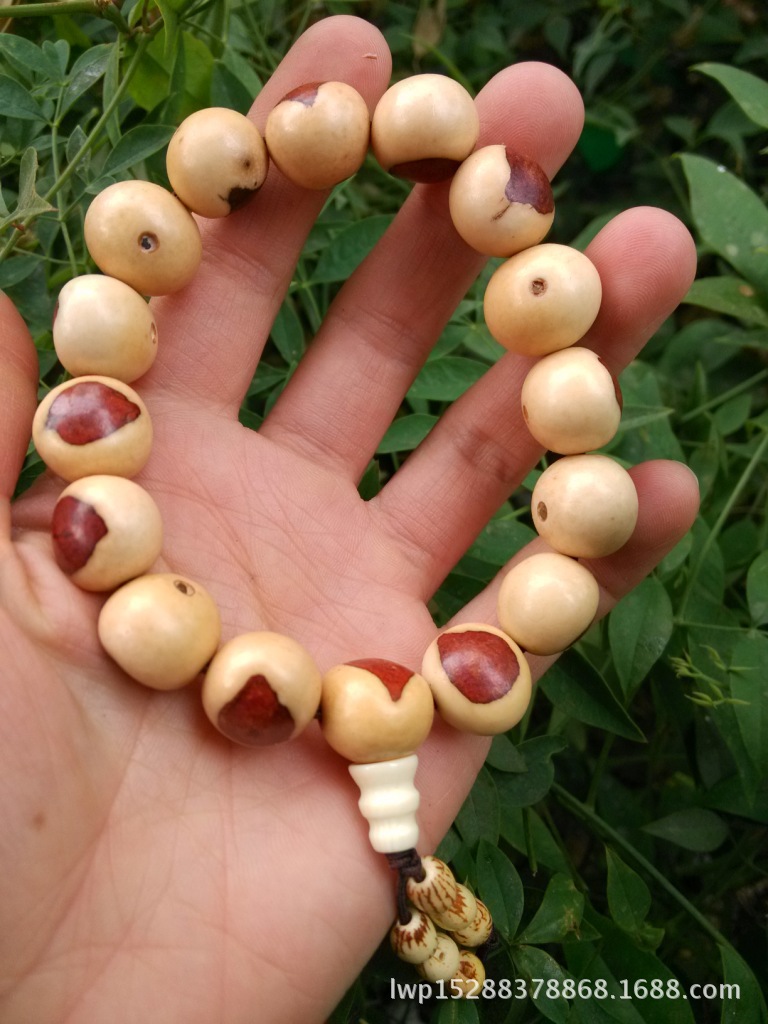 天然佛眼菩提子 麒麟眼佛珠手链