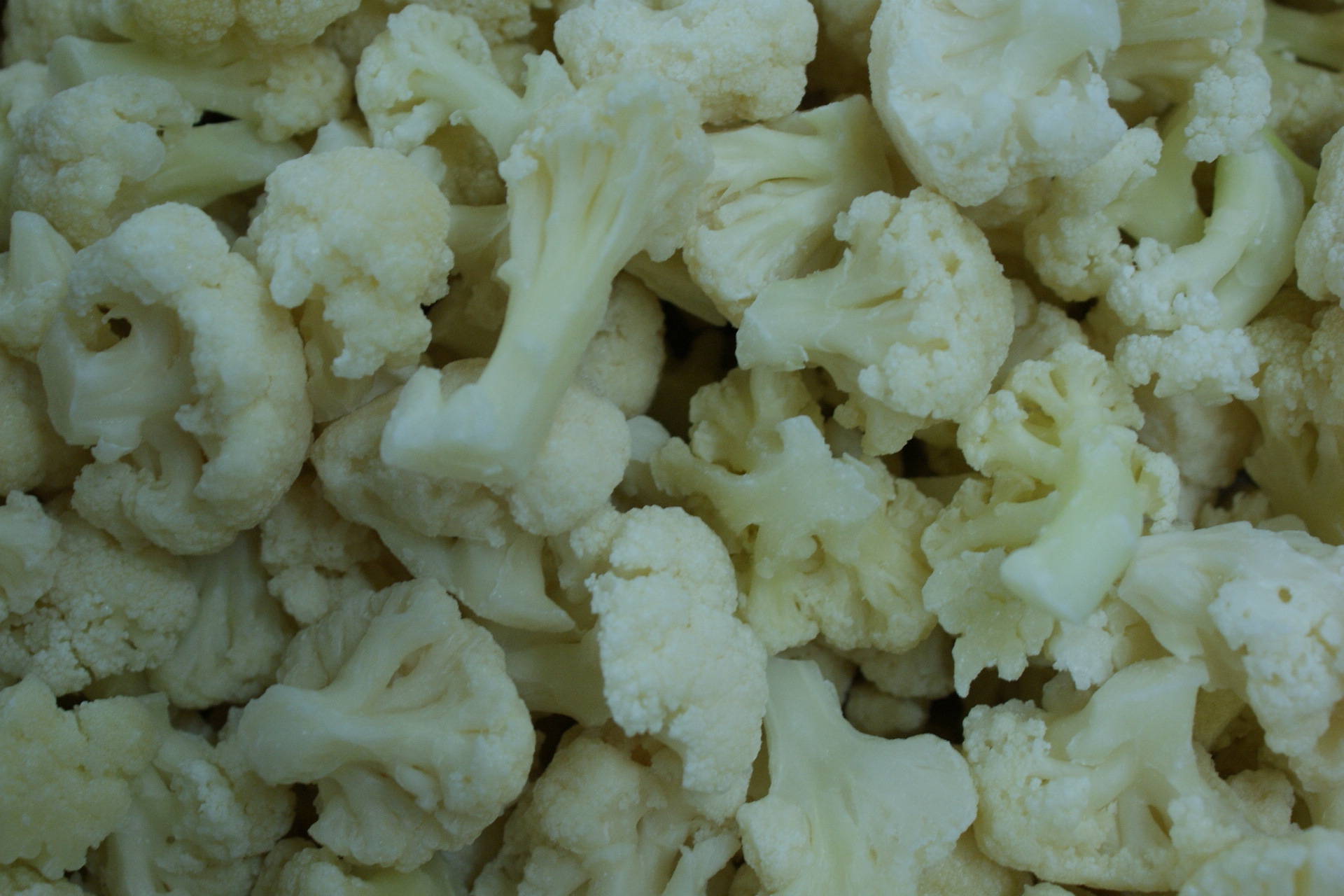 冷冻白花菜 速冻蔬菜 速冻白花菜