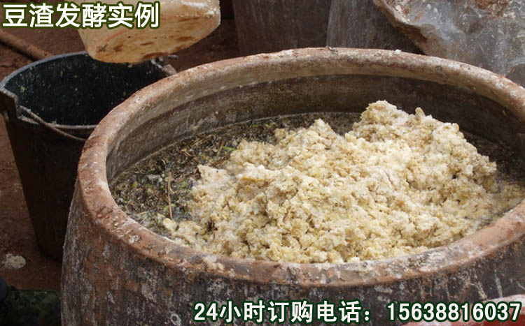 处理豆渣喂猪用的豆渣发酵剂多少钱哪有卖豆渣发酵剂