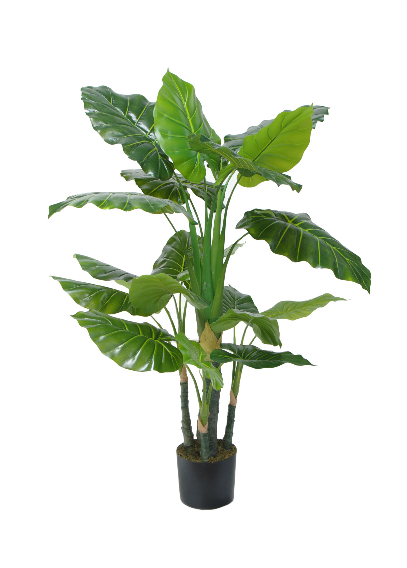 仿真绿色植物滴水观音盆栽爆款仿真树热带雨林植物园林景观