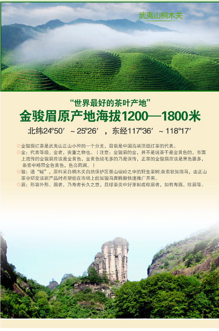 厂家供应品牌正品御品金骏眉 养胃**金骏眉 **金骏眉