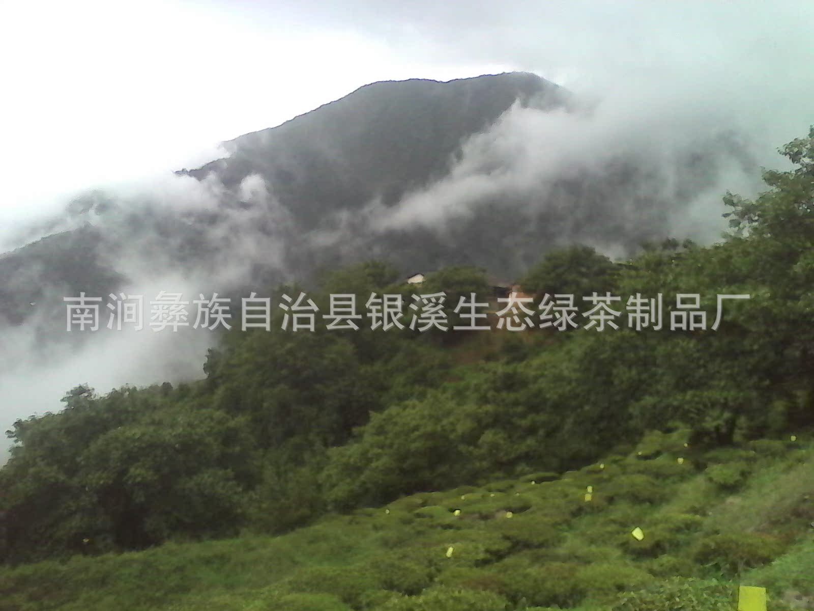 IMG_20130709_135531800