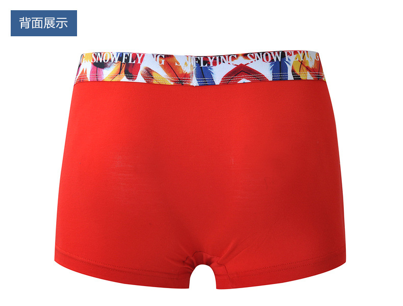 1件起批雪中飞男士平角内裤莫代尔中腰u凸糖果色5条装厂家直供