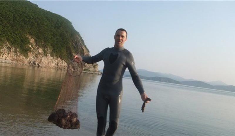 【晓芹海参 俄罗斯海参 小头海参 专业批发水发