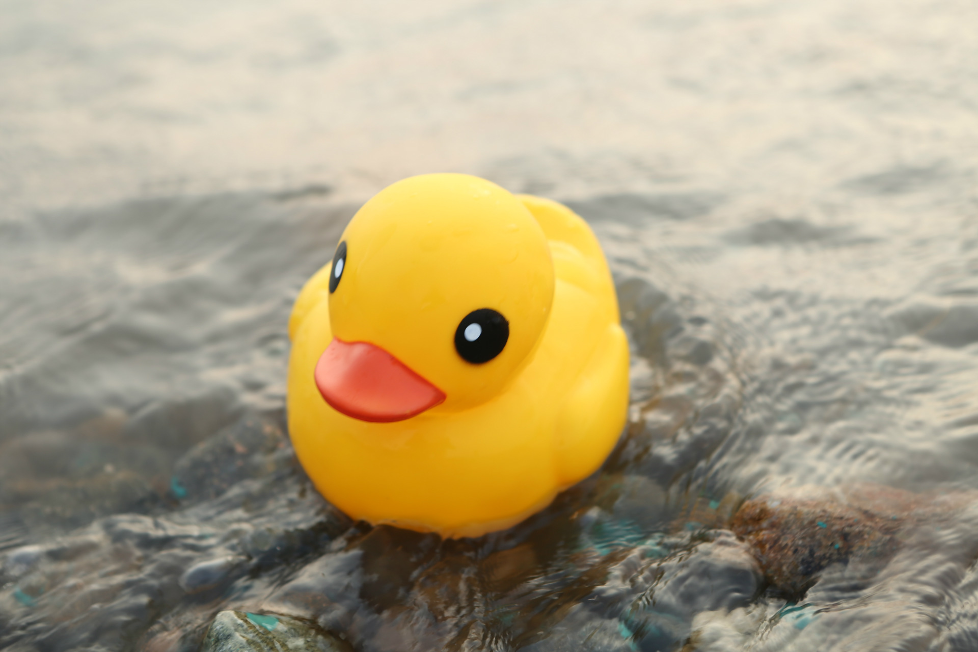 正版香港大黄鸭洗澡玩具 宝宝婴幼儿童戏水可爱小黄鸭 可印logo