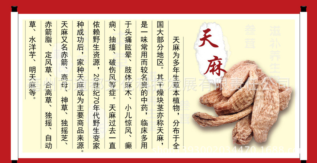 批发供应各种 中药材 天麻个 天麻片 精选无硫天麻 大 中个头
